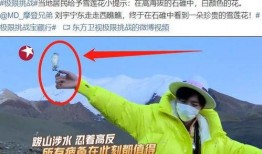 二宁最新爆料新闻事件是什么,揭秘娱乐圈惊人内幕