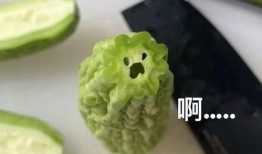 最新的瓜都在哪里爆料,揭秘最新爆料集中地